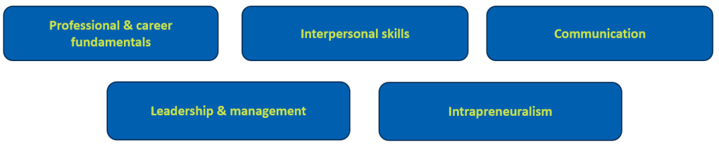 Compétences : Notions de base professionnelles et professionnelles Compétences interpersonnelles Communication Leadership et gestion Intrapreneuralisme