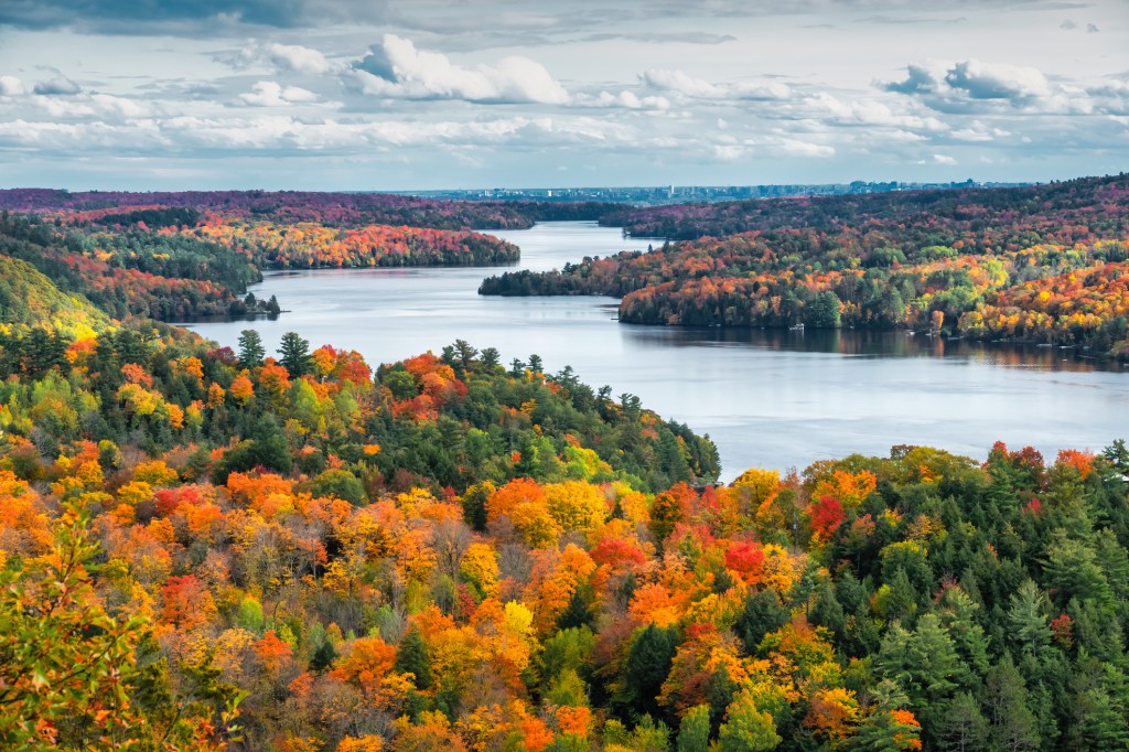 A scenic view of a winding river surrounded by dense forest with vibrant autumn foliage in shades of orange, red, yellow, and green under a partly cloudy sky.